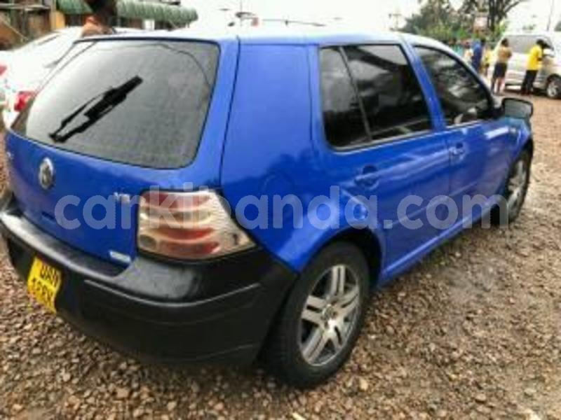 Big with watermark 30629329 194112211393369 244064733525704704 n