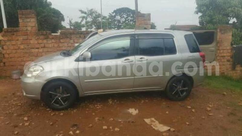 Big with watermark 30629329 194112211393369 244064733525704704 n