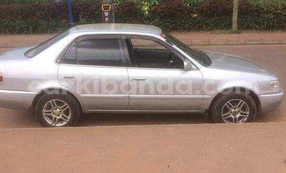 Acheter Occasion Voiture Toyota Corolla Gris à Kampala, Ouganda Acheter Occasion Voiture Toyota Corolla Gris à Kampala, Ouganda