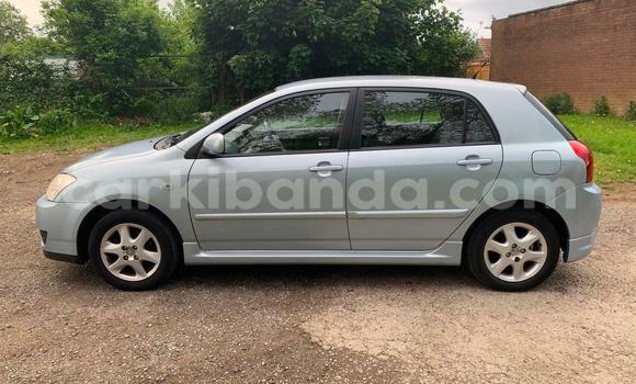 Buy Used Toyota Corolla Blue Car in Kampala in Uganda Buy Used Toyota Corolla Blue Car in Kampala in Uganda