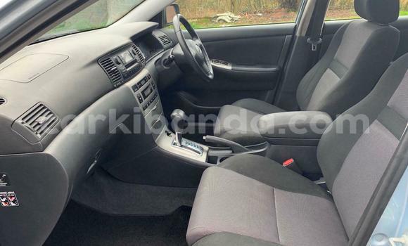 Buy Used Toyota Corolla Blue Car in Kampala in Uganda Buy Used Toyota Corolla Blue Car in Kampala in Uganda