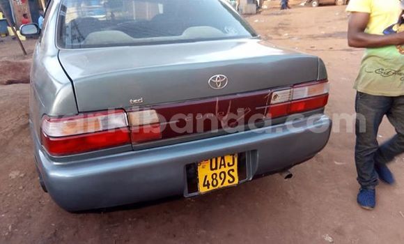 Buy Used Toyota Corolla Silver Car in Kampala in Uganda Buy Used Toyota Corolla Silver Car in Kampala in Uganda