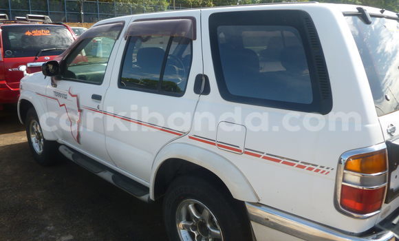 Buy Used Nissan Terrano White Car in Arua in Uganda