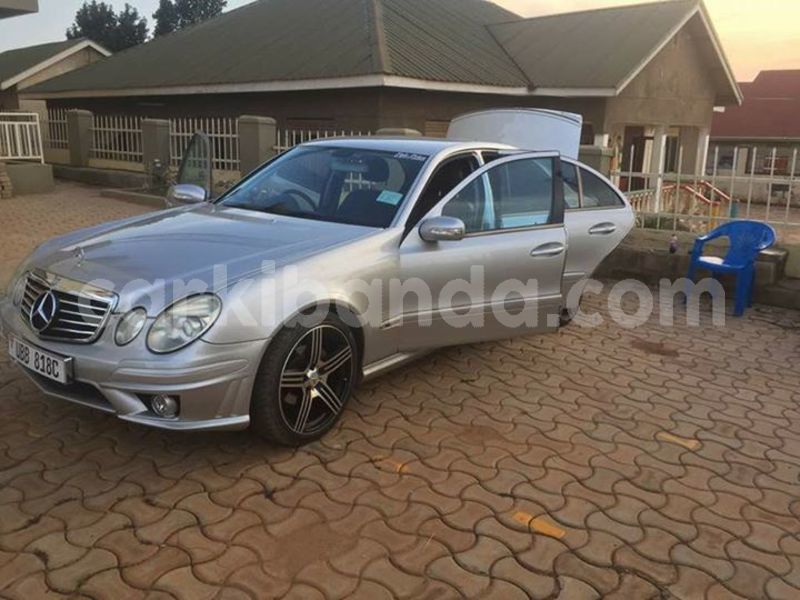 Big with watermark 30623955 578122035882356 6857030771144654848 n