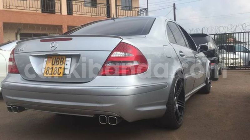 Big with watermark 30629329 194112211393369 244064733525704704 n