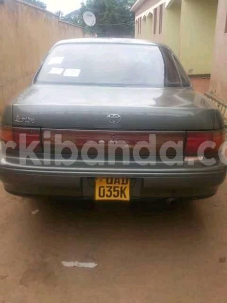 Big with watermark 30623955 578122035882356 6857030771144654848 n