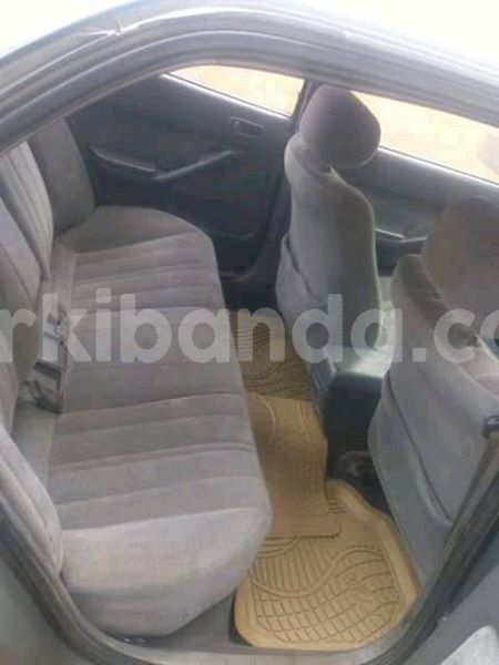 Big with watermark 30629329 194112211393369 244064733525704704 n