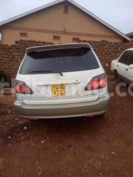 Big with watermark 30623955 578122035882356 6857030771144654848 n