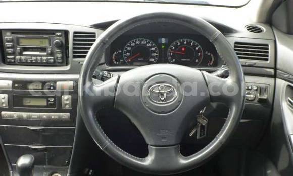 Buy Used Toyota Runx Red Car in Kampala in Uganda Buy Used Toyota Runx Red Car in Kampala in Uganda