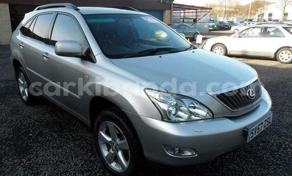 Buy Used Lexus RX 350 Silver Car in Arua in Uganda Buy Used Lexus RX 350 Silver Car in Arua in Uganda