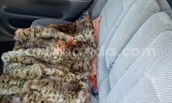 Acheter Occasion Voiture Honda CR–V Bleu à Kampala, Ouganda Acheter Occasion Voiture Honda CR–V Bleu à Kampala, Ouganda