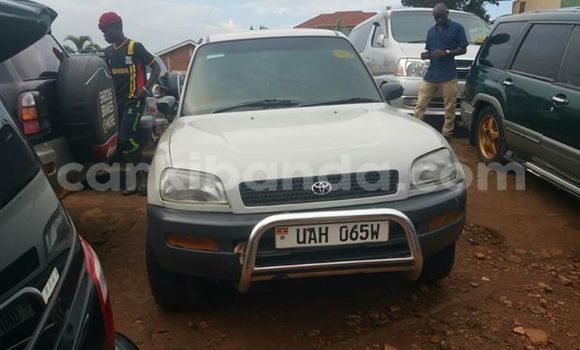 Buy Used Toyota RAV4 White Car in Kampala in Uganda Buy Used Toyota RAV4 White Car in Kampala in Uganda