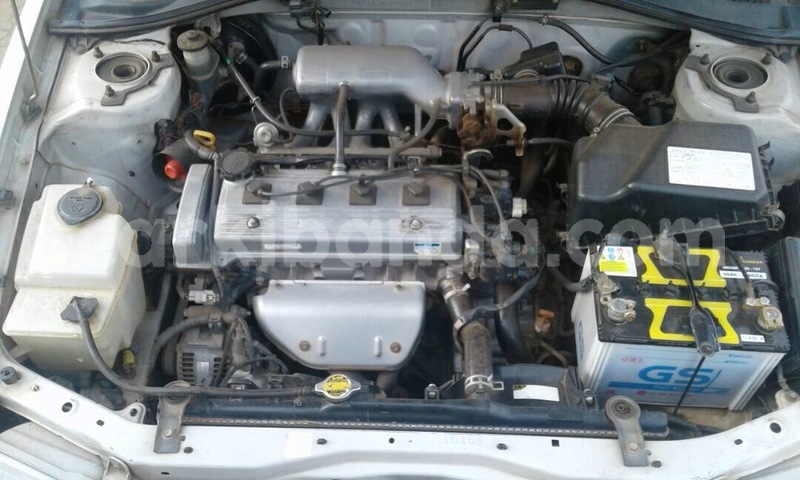 Big with watermark img 5658