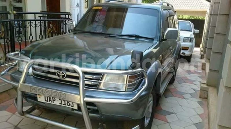 Big with watermark 30623955 578122035882356 6857030771144654848 n