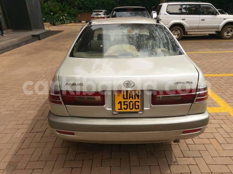 Big with watermark 30623955 578122035882356 6857030771144654848 n