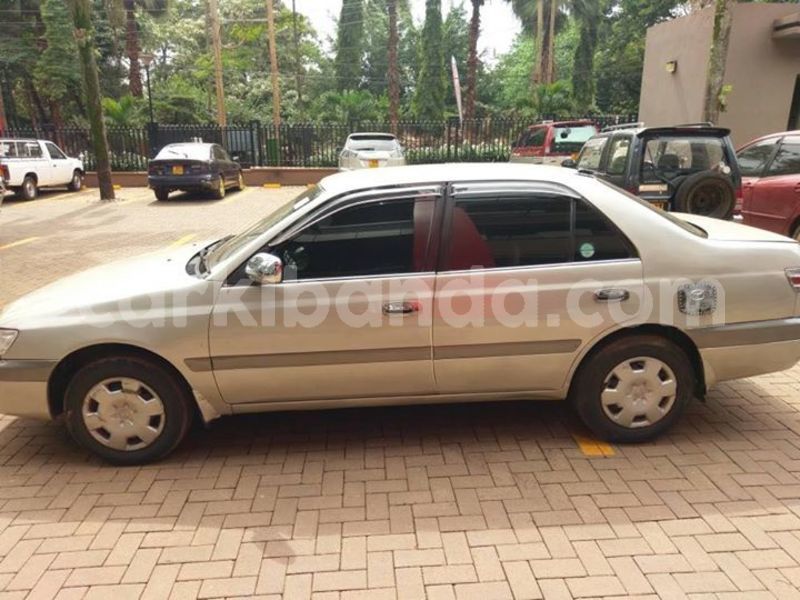 Big with watermark 30629329 194112211393369 244064733525704704 n