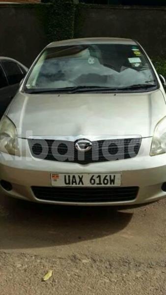 Big with watermark 30629329 194112211393369 244064733525704704 n