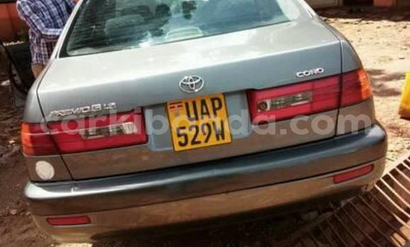 Buy Used Toyota Premio Other Car in Kampala in Uganda Buy Used Toyota Premio Other Car in Kampala in Uganda