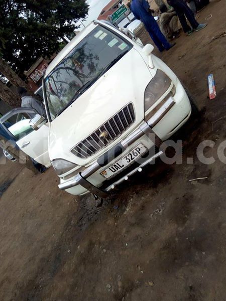 Big with watermark 30623955 578122035882356 6857030771144654848 n