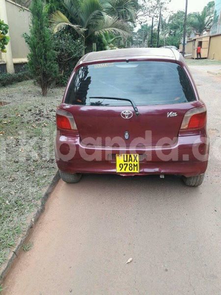 Big with watermark 30623955 578122035882356 6857030771144654848 n