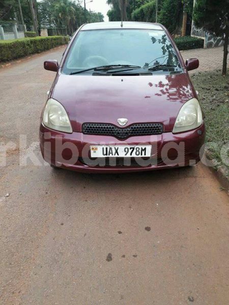 Big with watermark 30629329 194112211393369 244064733525704704 n