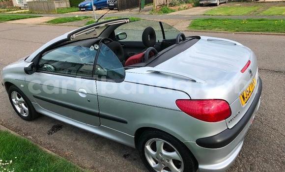 Acheter Occasion Voiture Peugeot 206 Gris à Arua, Ouganda Acheter Occasion Voiture Peugeot 206 Gris à Arua, Ouganda