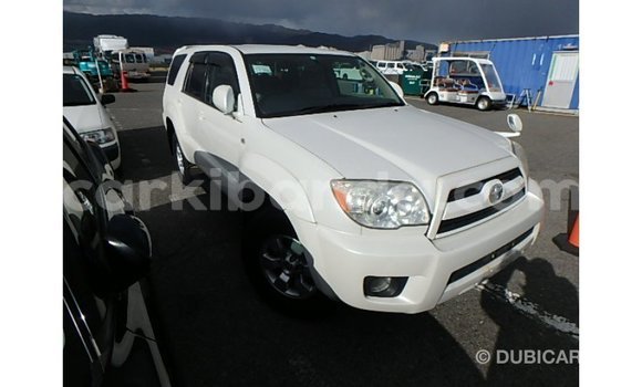 Acheter Import Voiture Toyota Hilux Blanc à Import - Dubai, Ouganda Acheter Import Voiture Toyota Hilux Blanc à Import - Dubai, Ouganda
