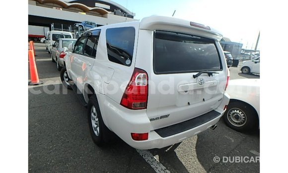 Acheter Import Voiture Toyota Hilux Blanc à Import - Dubai, Ouganda Acheter Import Voiture Toyota Hilux Blanc à Import - Dubai, Ouganda