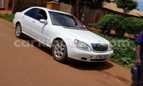 Buy Used Mercedes Benz S-Class White Car in Kampala in Uganda Buy Used Mercedes Benz S-Class White Car in Kampala in Uganda