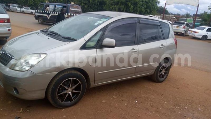 Big with watermark 30629329 194112211393369 244064733525704704 n