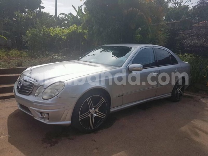 Big with watermark 30623955 578122035882356 6857030771144654848 n