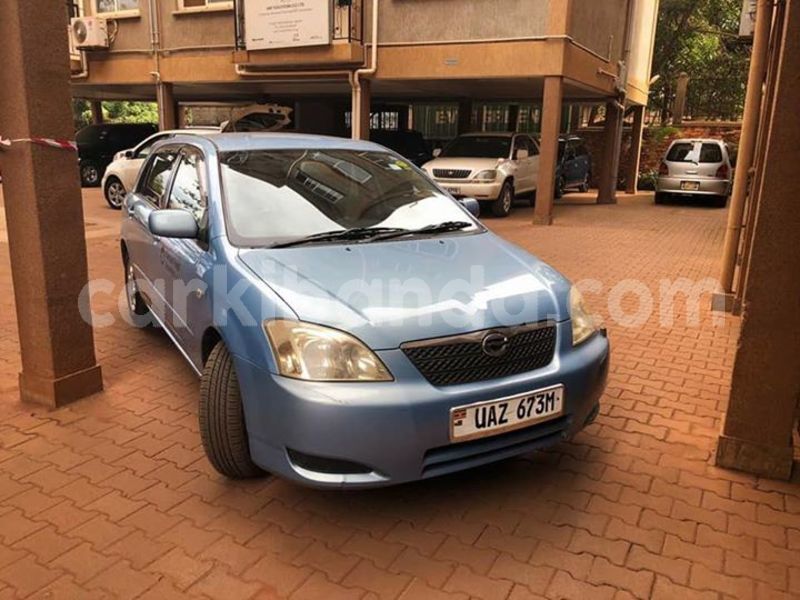 Big with watermark 30623955 578122035882356 6857030771144654848 n