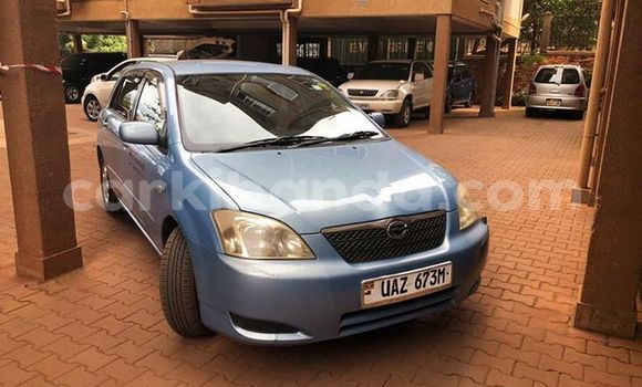 Buy Used Toyota Allex Other Car in Kampala in Uganda Buy Used Toyota Allex Other Car in Kampala in Uganda