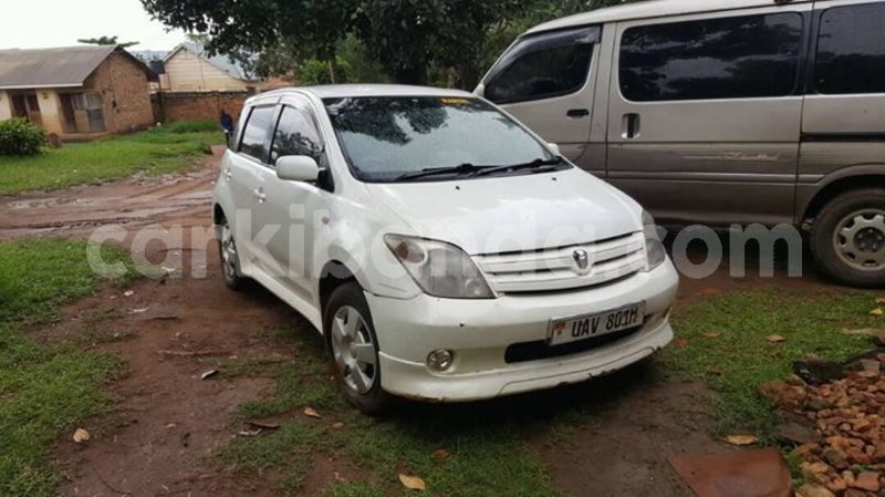 Big with watermark 30629329 194112211393369 244064733525704704 n