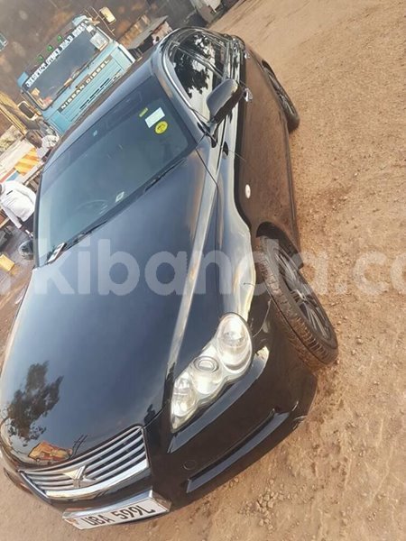 Big with watermark 30629329 194112211393369 244064733525704704 n