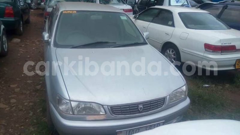 Big with watermark 30623955 578122035882356 6857030771144654848 n