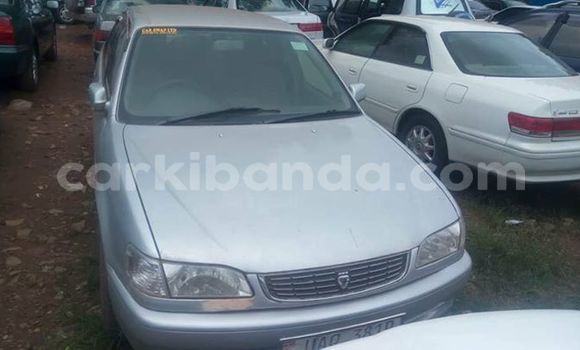Buy Used Toyota Corona Silver Car in Kampala in Uganda Buy Used Toyota Corona Silver Car in Kampala in Uganda