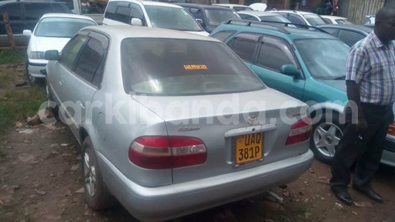 Big with watermark 30629329 194112211393369 244064733525704704 n