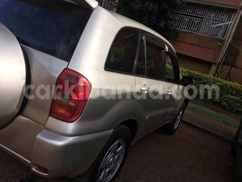 Big with watermark 30629329 194112211393369 244064733525704704 n