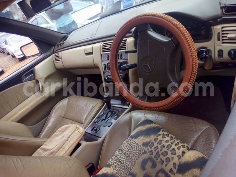 Big with watermark 30629329 194112211393369 244064733525704704 n