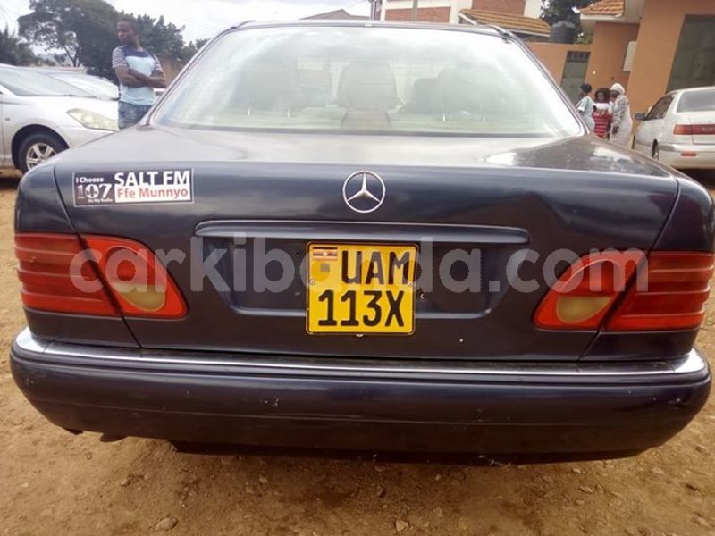 Big with watermark 30705011 1080215435450894 1812932972978896896 n