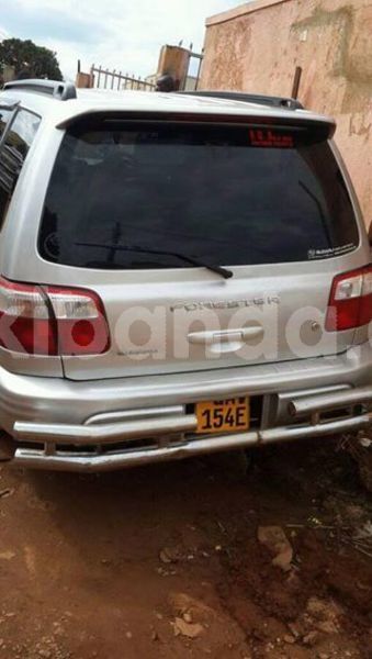 Big with watermark 30623955 578122035882356 6857030771144654848 n