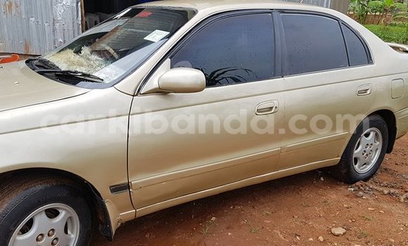 Buy Used Toyota Corolla Other Car in Entebbe in Uganda Buy Used Toyota Corolla Other Car in Entebbe in Uganda