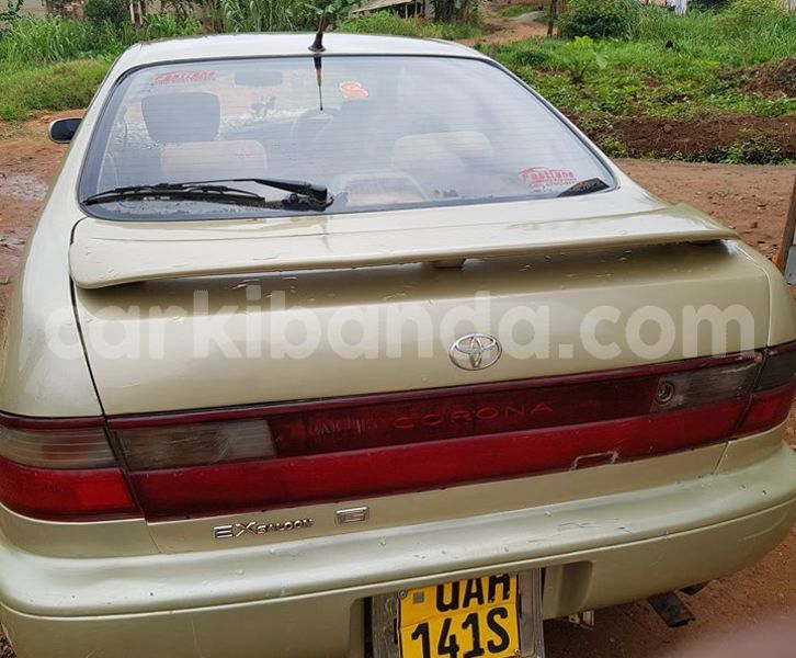 Big with watermark 30629329 194112211393369 244064733525704704 n