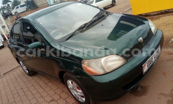 Buy Used Toyota Platz Green Car in Kampala in Uganda Buy Used Toyota Platz Green Car in Kampala in Uganda