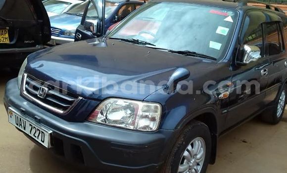 Buy Used Honda CR-V Other Car in Kampala in Uganda Buy Used Honda CR-V Other Car in Kampala in Uganda