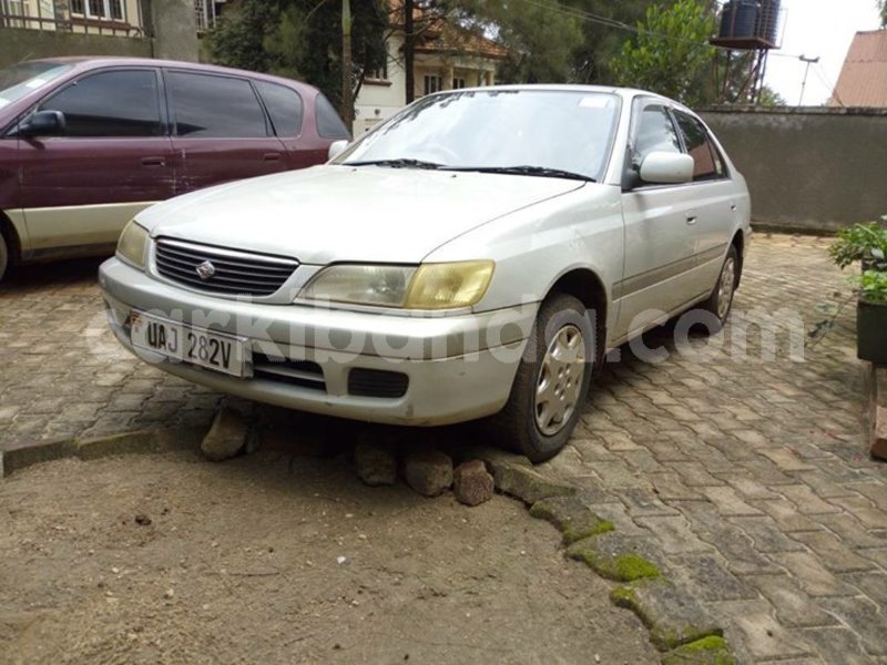 Big with watermark 30623955 578122035882356 6857030771144654848 n