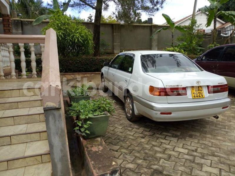 Big with watermark 30705011 1080215435450894 1812932972978896896 n