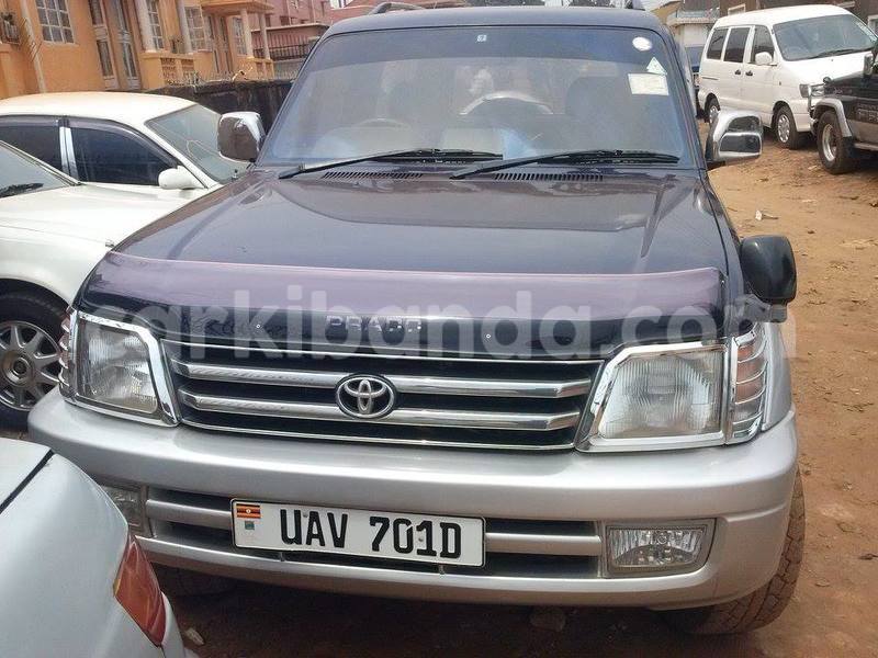 Big with watermark ebbd76731371 prd tx4