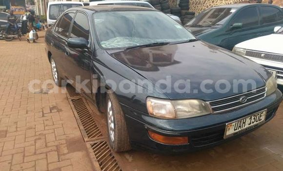 Buy Used Toyota Carina Other Car in Kampala in Uganda Buy Used Toyota Carina Other Car in Kampala in Uganda